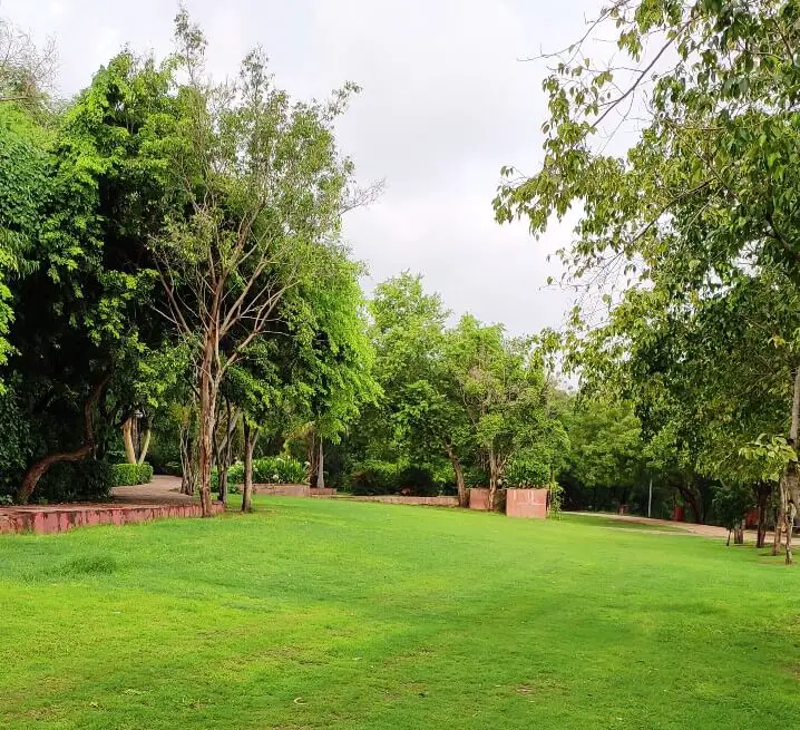 Jawahar Circle Garden landscape