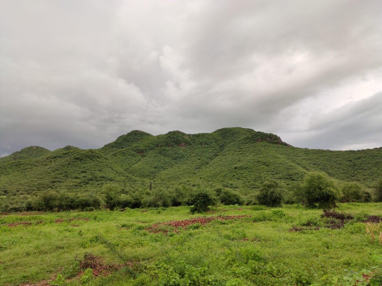 Monsoon Magic: The Enchanting Rain-soaked Spots of Rajasthan