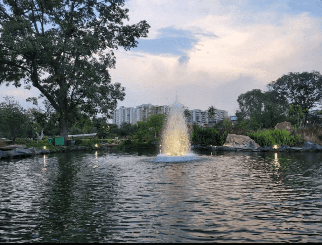 city park kota pond