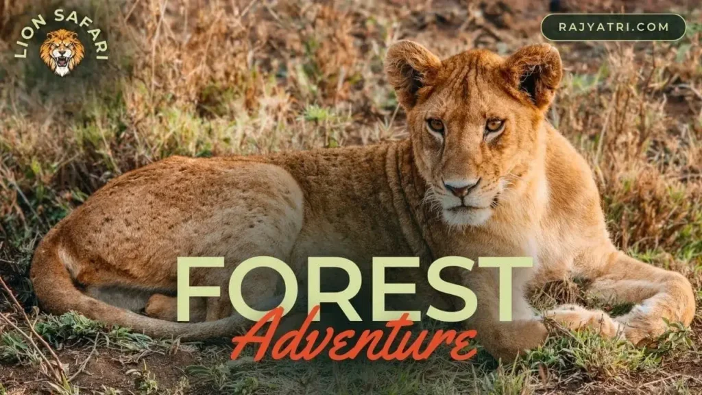 nahargarh lion safari image