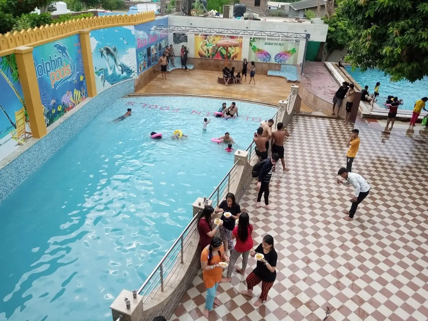 Dolphin Pools Kota Pool Top View