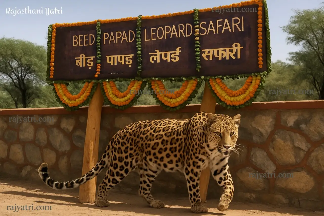 beed papad leopard safari featured image
